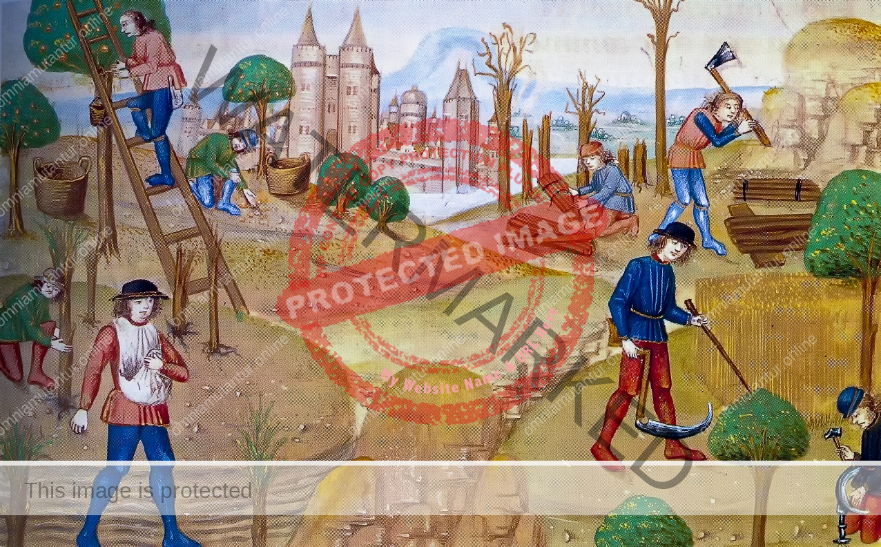 Pierre de Crescens Tilling the Fields 15th Century